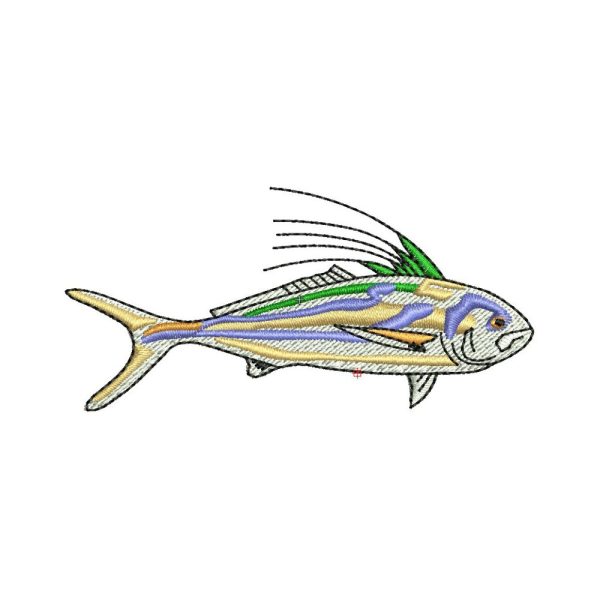 Yellowfin Fish