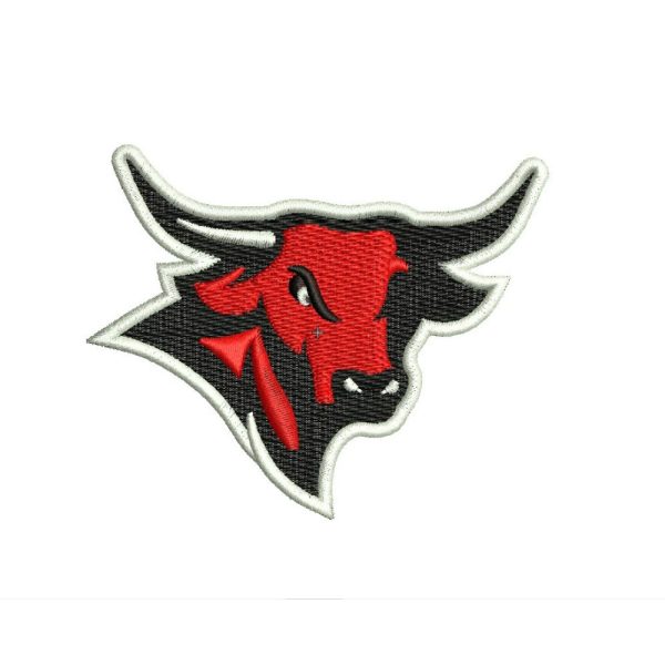 Angry bull