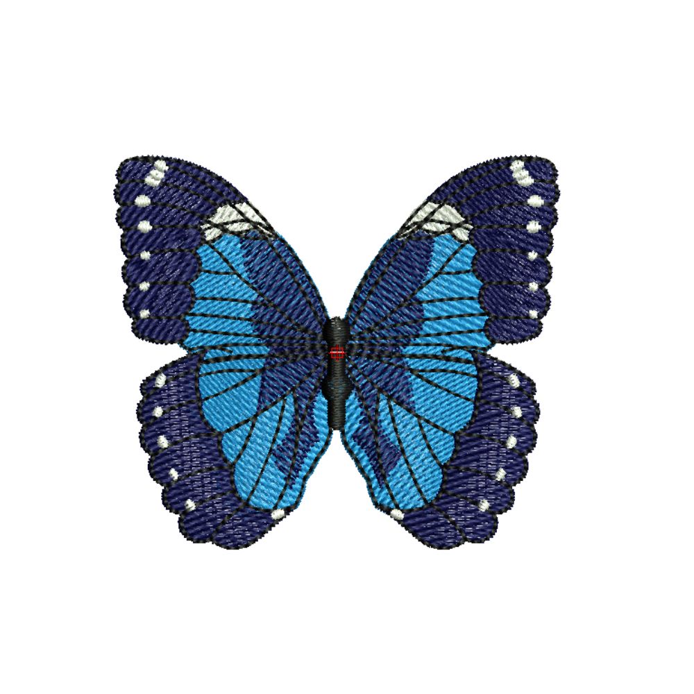 Blue Butterfly